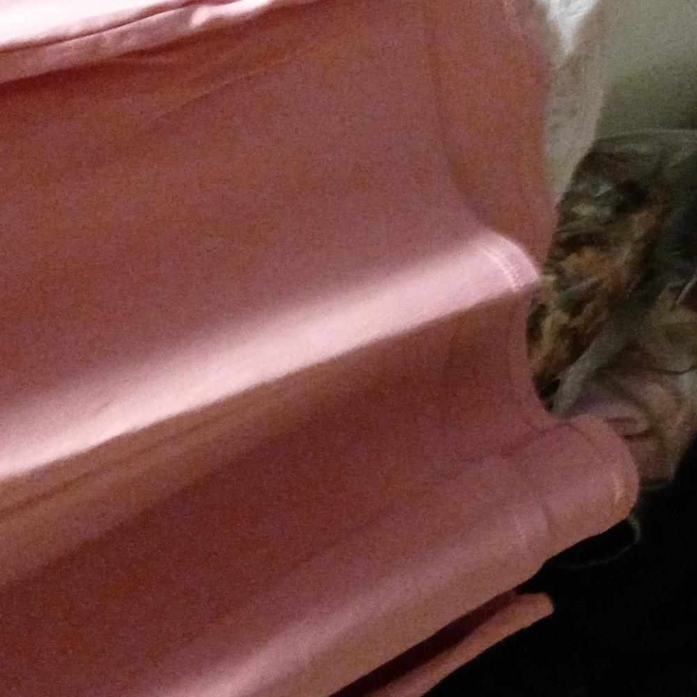 Pink Coconut - Picture 3 of 7